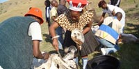 Zulu Home Stay